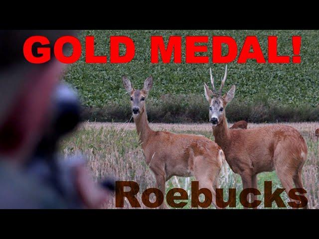 on gold medal roebucks with TTA hunting trips - Hunter Brothers