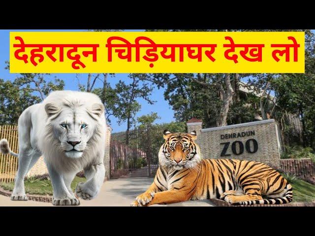 देहरादून चिड़ियाघर के खूंखार जानवर | Dehradun Zoo | Dehradun Uttarakhand Zoo | @Kashif012