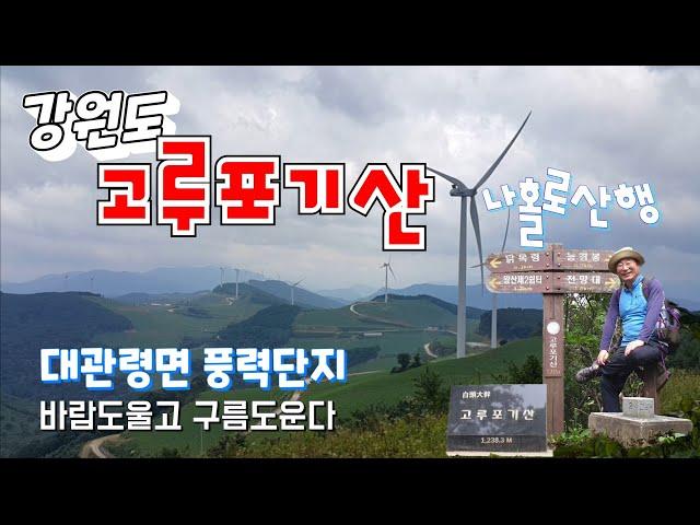 강원도 고루포기산을 아시나요? 하늘아래 첫동네. 대관령풍력발전단지.mountain.hik·ing. climb·ing