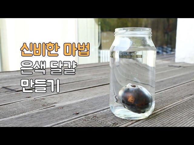 달걀이 은색으로?! 신비한 마법같은 은쌤의 실험시간! 실버에그 만들기 (How to make silver egg)