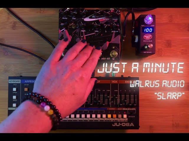 Just a Minute - Walrus Audio SLARP + synth