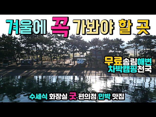 겨울이 더 낭만적인 무료캠핑 차박천국 취사 야영 수세식 화장실 고즈넉한 해변 송림아래에서 불멍 물멍, 맛집, 민박, 편의점, 캠핑카여행 차박노지 탐방. 고흥 대전해수욕장