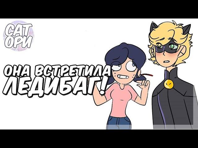 ОНА ВСТРЕТИЛА ЛЕДИБАГ!   Леди Баг и Супер Кот SatoriComix   Комикс