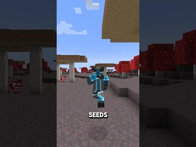 this is the weirdest seed in minecraft #shorts #lotusispotus #minecraft