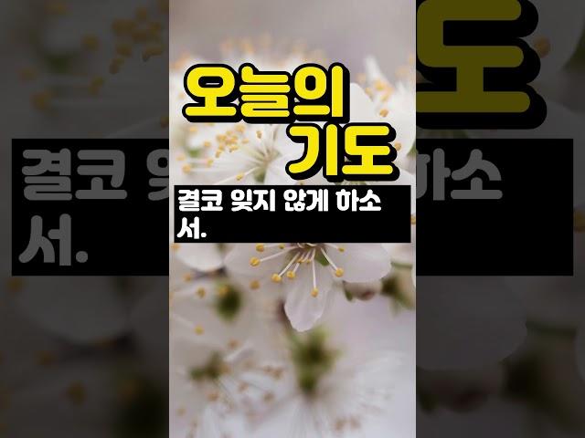 오늘의 기도 / 아침기도 /매일기도 / 하나님의 은혜