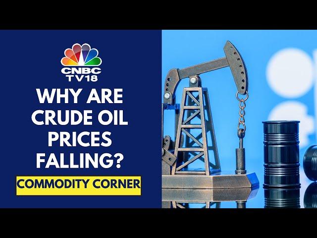 Crude Oil Prices Fall 2.5% Overnight As OPEC Cuts Global Demand Forecast | CNBC TV18