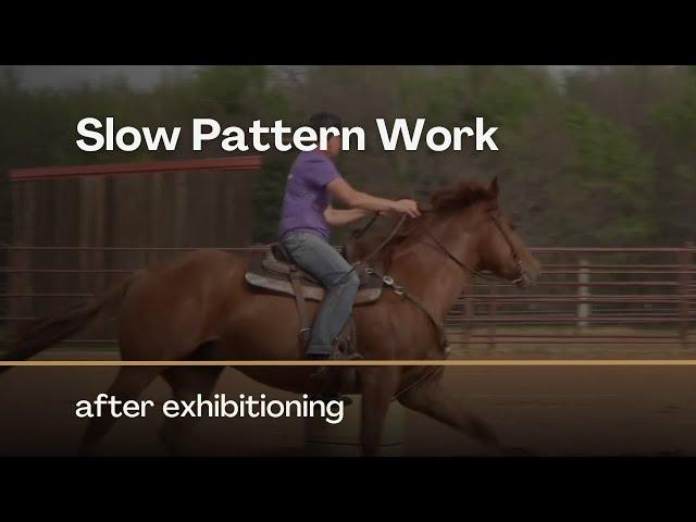 Slow Pattern Work after Exhibitioning with Joy Wargo on Between The Reins