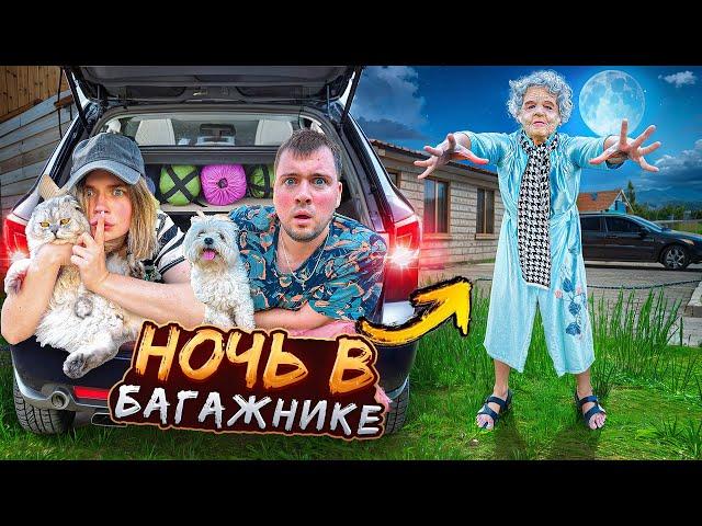 НОЧЬ В БАГАЖНИКЕ С КОТАМИ | СКРЫВАЕМСЯ ОТ ЗЛОЙ НЯНИ SCHOOLBOY RUNAWAY