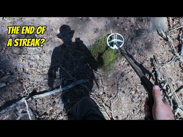 Through The Woods! Metal Detecting with Dog, Boar & Chainsaw Noises!