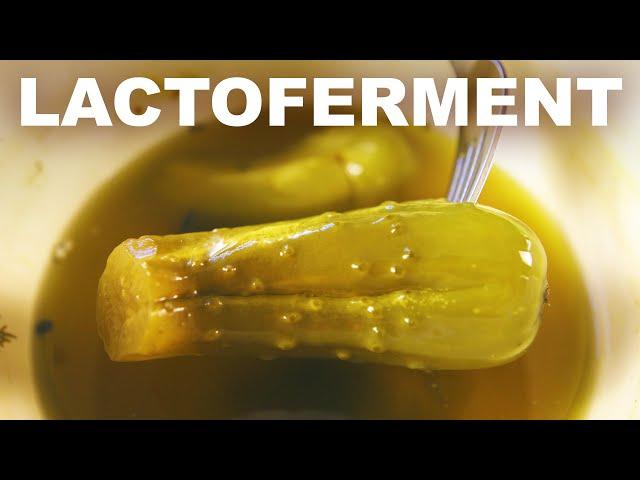 What even is lacto-fermentation?