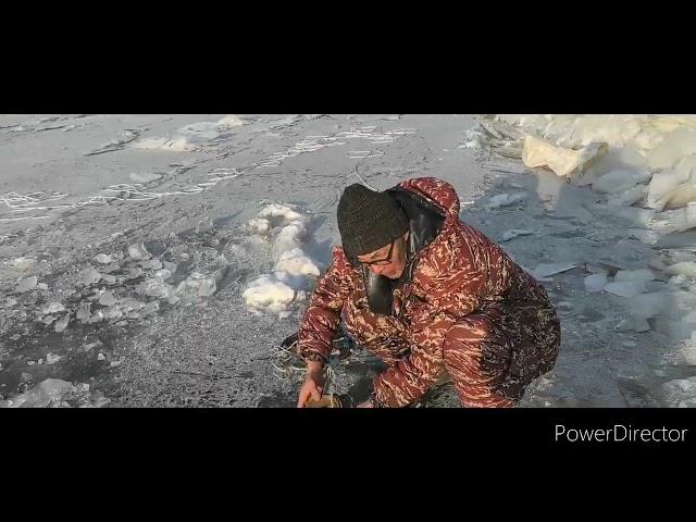 Аборигенка. Папа с сыном ставят сетку. Подледные сетки. Рыбалка на Амуре зимой.