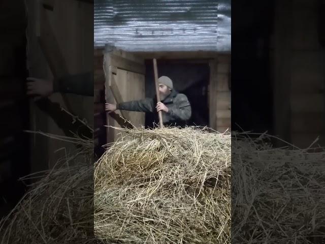 #КОЗЬЯ ФЕРМА В СИБИРИ#