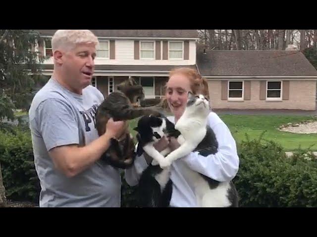 Savage Cats Attacking People - Badass Cats Moments || PETASTIC 