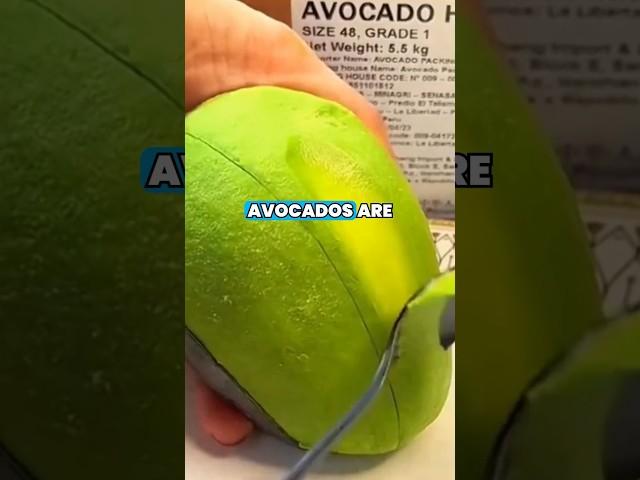 Why You Should Watch This Before Eating Avocado #healthburo