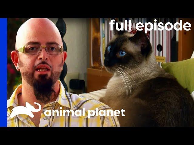 My Cat Hates My Boyfriend! | My Cat From Hell (Full Episode)
