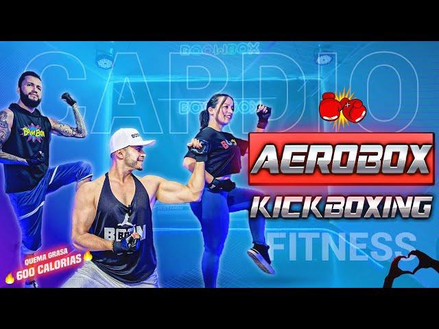 1 Hora CARDIO BOX para QUEMAR GRASA rapido  Session 15