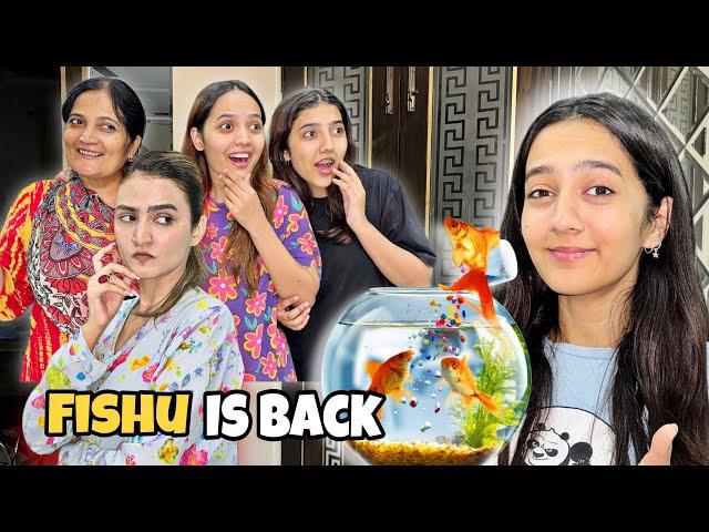 Fishu Wapis Agai | Hira say larai hogai | My New Pet Fishu mishu | Rabia Faisal | Sistology