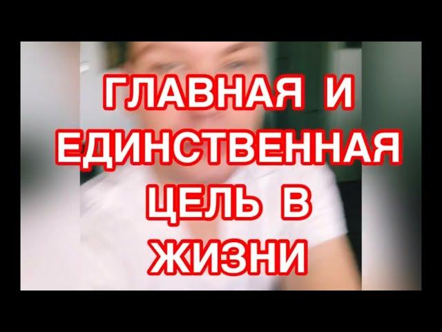 Единственная главная цель в жизни .