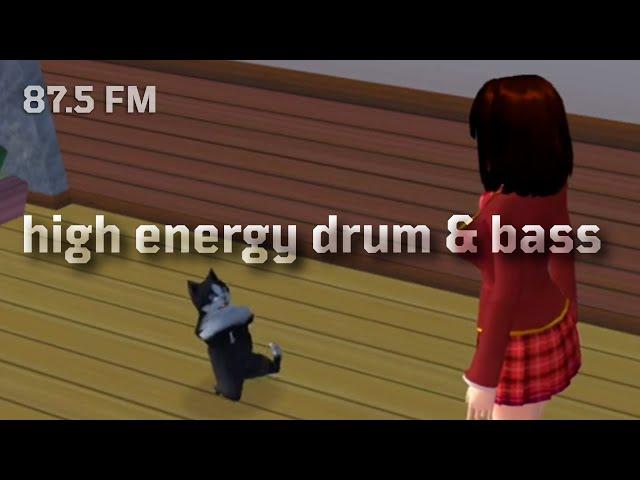 38 minutes of high energy drum & bass and neurofunk enjoyed by the famous breakdancing cat