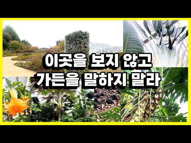 최고의 조경건축가 디자인 정원의 시작부터 끝까지#가든#plants #온실 정원#