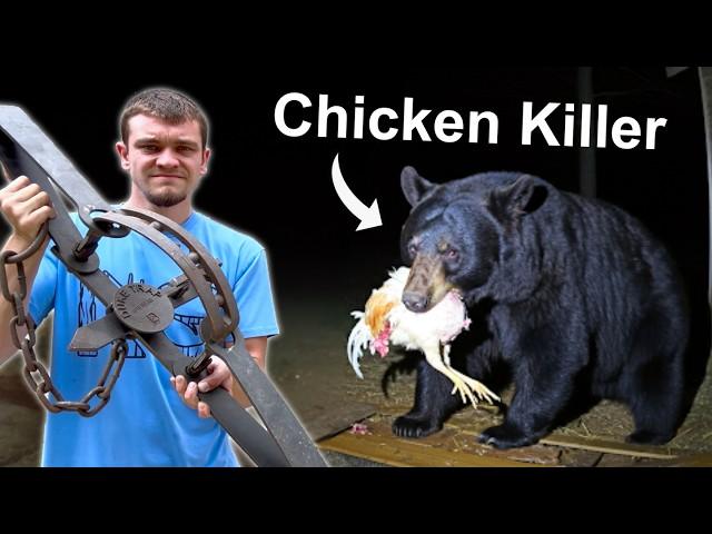 Hunting Down the Chicken Killing Black Bear