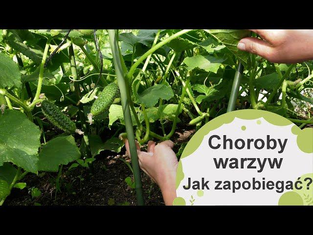 Choroby warzyw - Jak zapobiegać i jak leczyć?