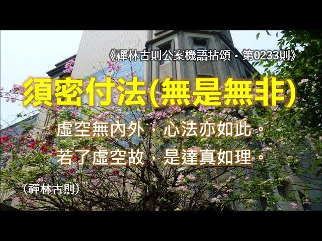 《禪林古則公案機語拈頌‧第0233則‧七祖須密付法（無是無非）》虛空無內外，心法亦如此。若了虛空故，是達真如理。