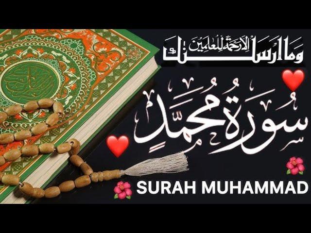 Surah Muhammad (سورة محمد)Stunning recitation of Surah Muhammad | SOFT VOICE | { Tilawat Q Qasmi }