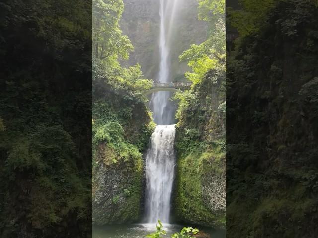 The Multnomah Falls is located in Oregon State, USA is the tallest in the State #usa #oregon #travel