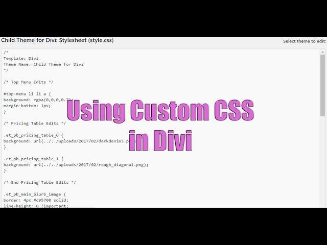 Using Custom CSS in Divi