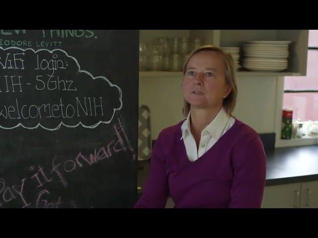 #NordicInspiration 2016 -  "The Nordic Innovation House" by Anne Lidgard (Director of Vinnova)