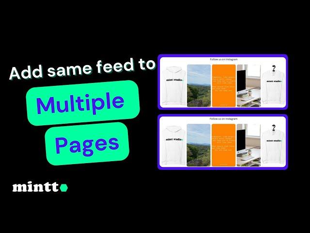 Mintt - Instafeed / Instagram Feed | Add feed to multiple pages