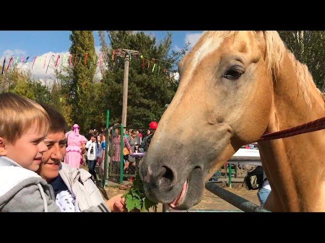 Детский Казачий Эколого - Биологический центр - Праздник урожая!