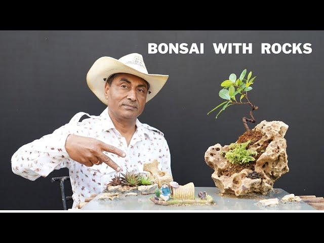 Bonsai with Rock/ How to Create Landscape Penjing