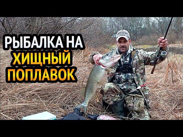 РЫБАЛКА НА ХИЩНЫЙ ПОПЛАВОК!!! Ловля щуки на живца. Самая простая но очень уловистая снасть на щуку.