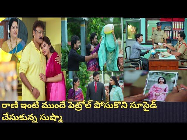 Today Rangula Ratnam serial 24-oct-24 full episode|Eroju rangula Ratnam |ఈరోజు రంగుల రాట్నం సీరియల్