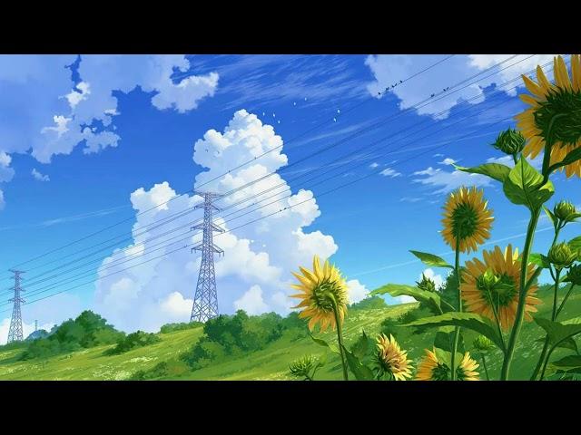 Beat Rap Lofi Chill | Audio music (prod. by Felix)