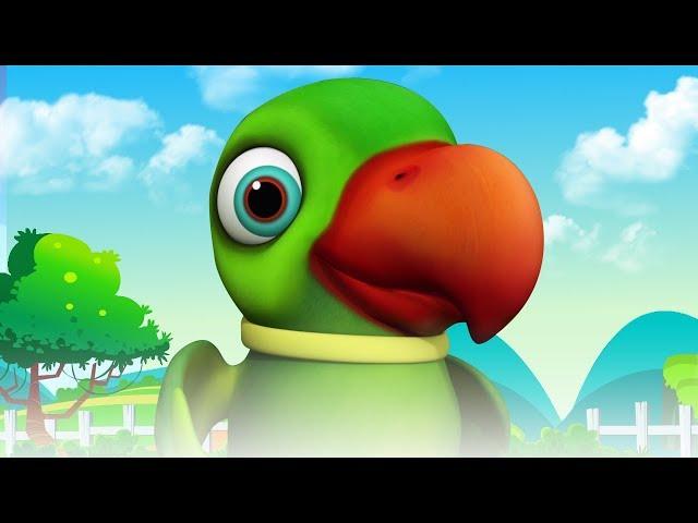 Main Tota Main Tota | Hindi Rhymes for Kids | मैं तोता मैं तोता | Baby Songs Hindi | Hindi Kavitayen
