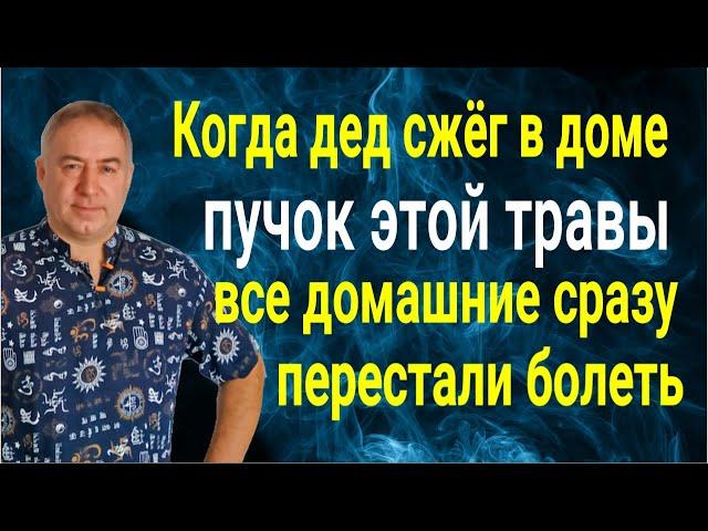 Чистка дома от порчи, ругани и болезней! Сожгите в доме пучок этой травы