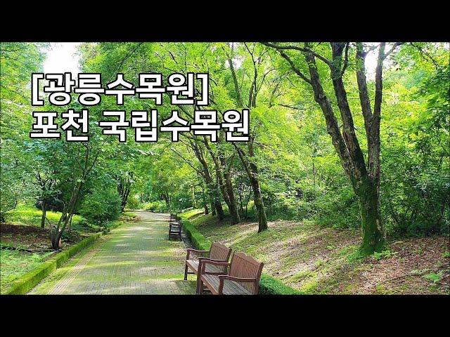 [광릉수목원] 포천 국립수목원 Korea National Arboretum