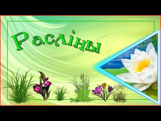 Чырвоная кніга Шклоўскага раёна. 2. РАСЛІНЫ