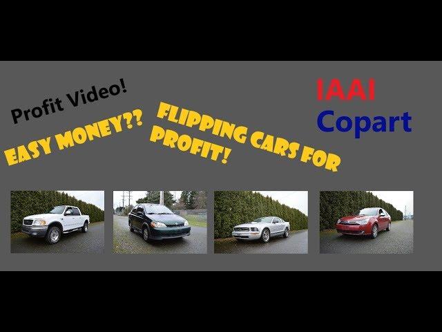 Sergey Pip How much money can you make from Copart and IAAI