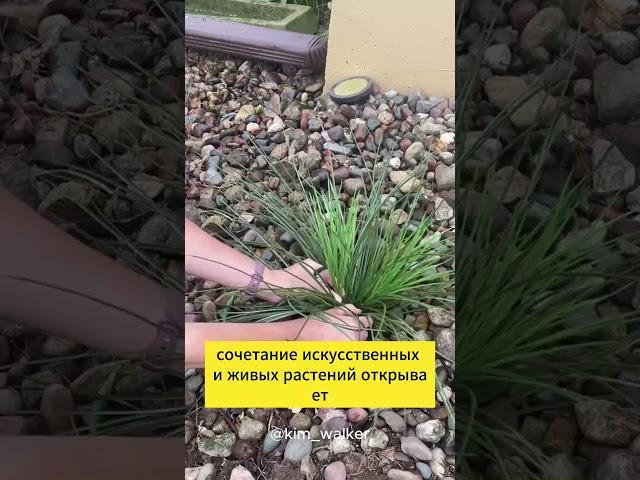 Красота 365 дней в году   чудеса искусственной флоры  #ландшафтныйдизайн #сад #растения