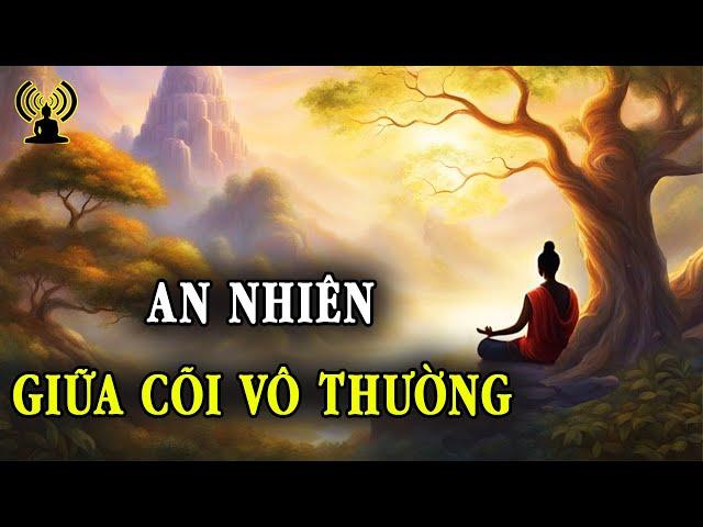 Hoa từ tâm hé nụ giữa vô thường