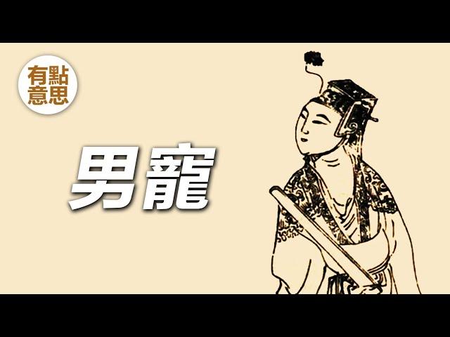 帝王的男寵