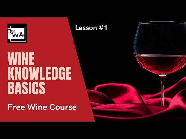 Free Wine Course at The Waiter's Academy: Lesson One. Basic Wine Knowledge. Wine Characteristics.