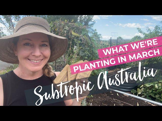 What we're planting in March Australian Subtropics + Cyclone Preparation