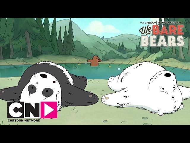 Пикник | Вся правда о медведях | Cartoon Network