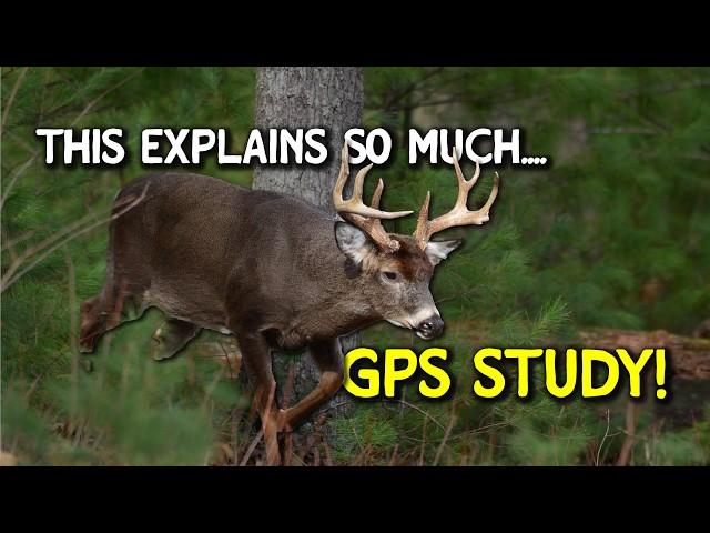 GPS Study reveals how BUCKS use terrain features to travel...this explains so much!!!