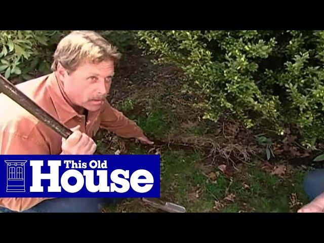 How to Edge a Garden Bed | This Old House